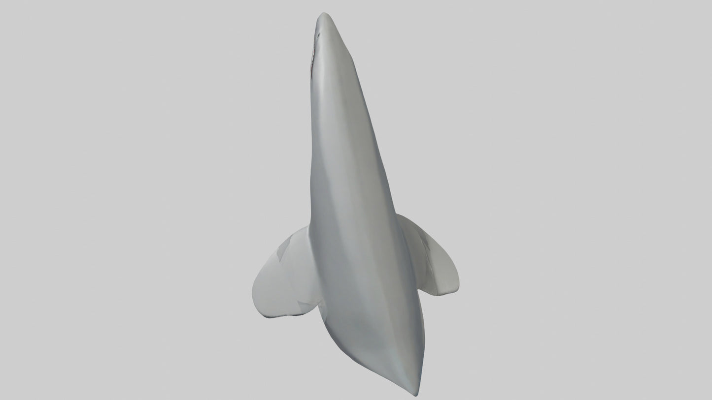 Cartoon Shark Fin model 3D model