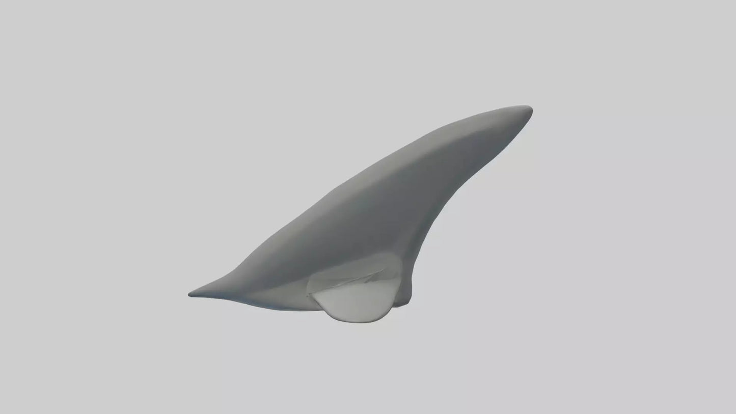 Cartoon Shark Fin model 3D model