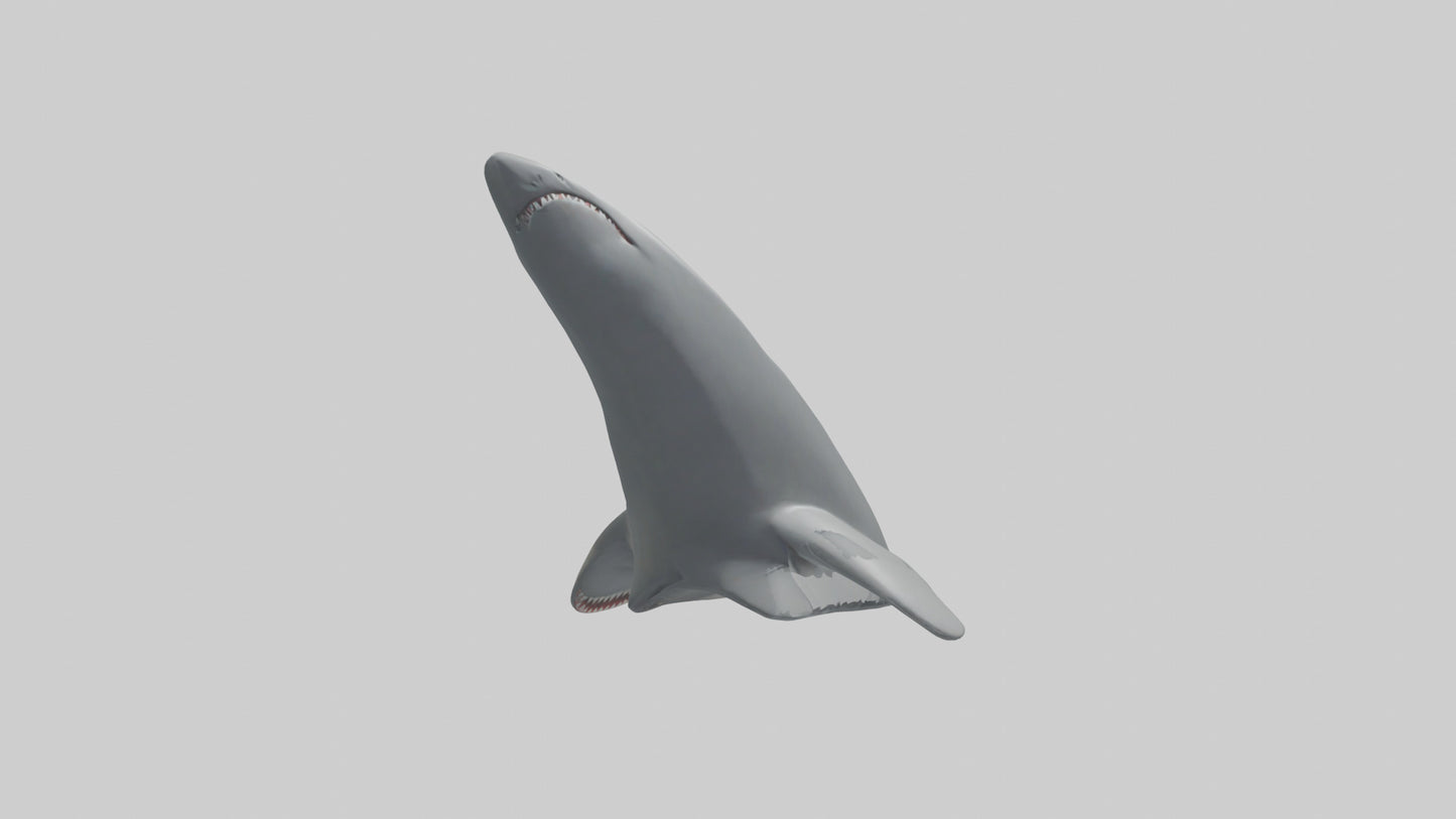 Cartoon Shark Fin model 3D model