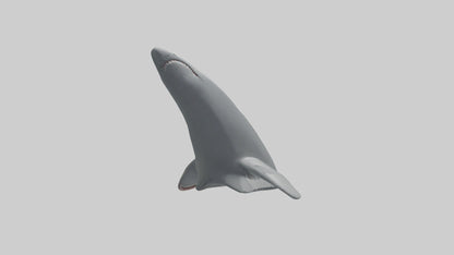 Cartoon Shark Fin model 3D model