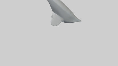 Cartoon Shark Fin model 3D model