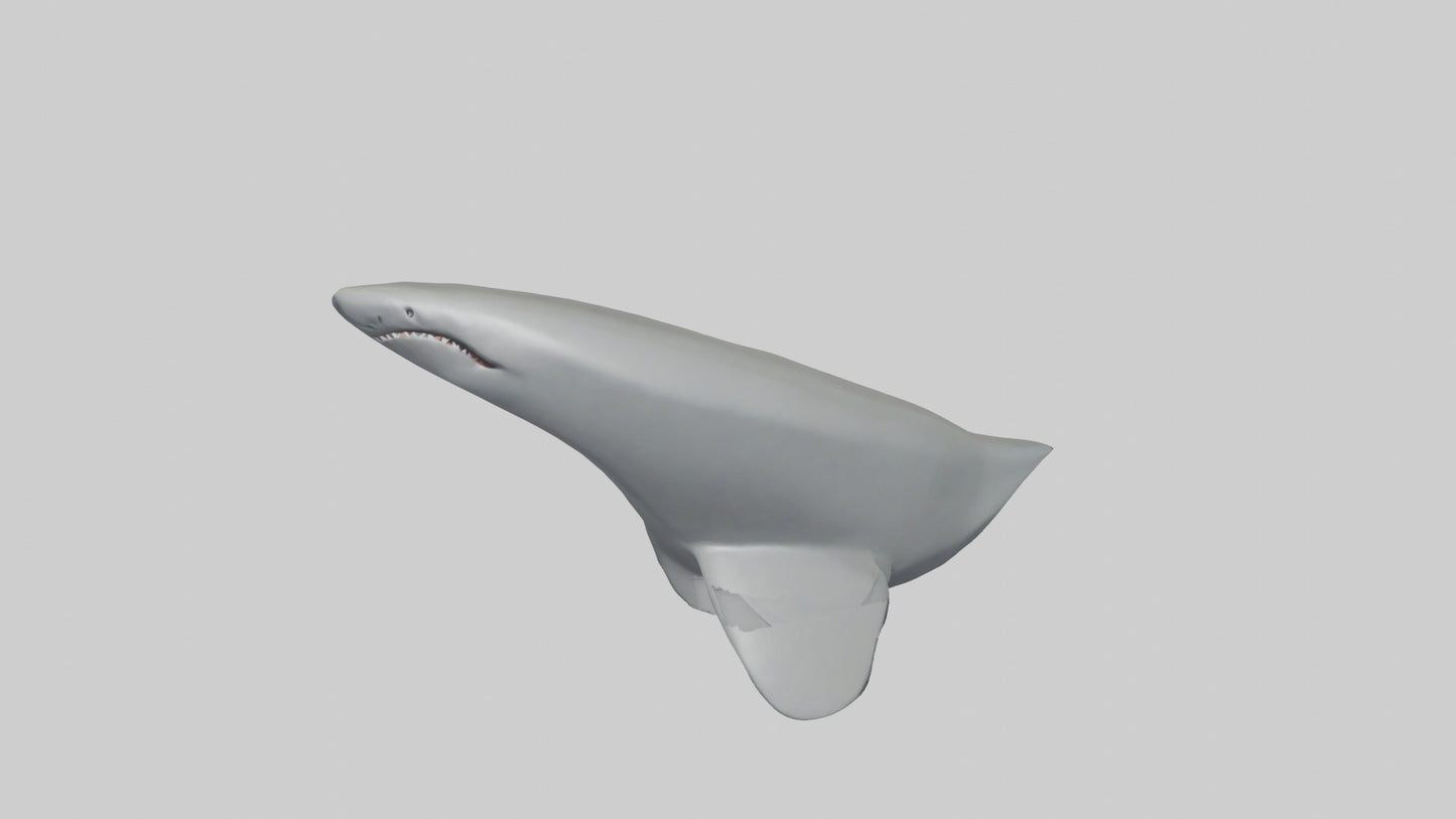 Cartoon Shark Fin model 3D model