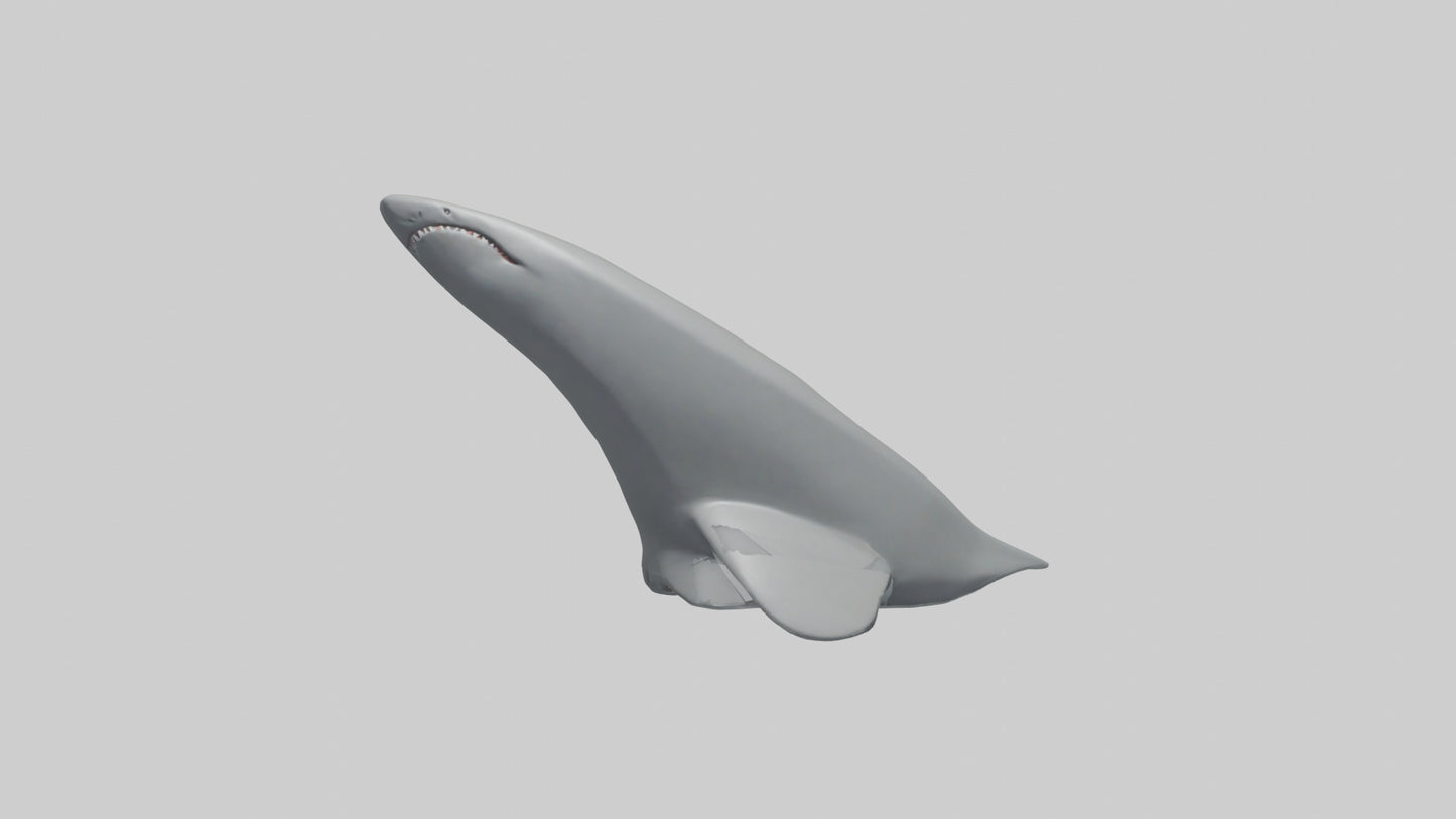 Cartoon Shark Fin model 3D model