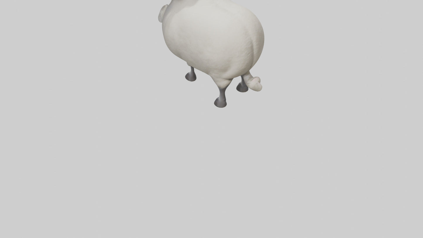 Cartoon Sheep model 3D model