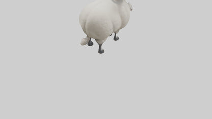 Cartoon Sheep model 3D model
