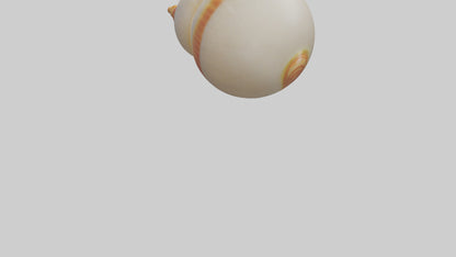 Cartoon Shell model 3D model