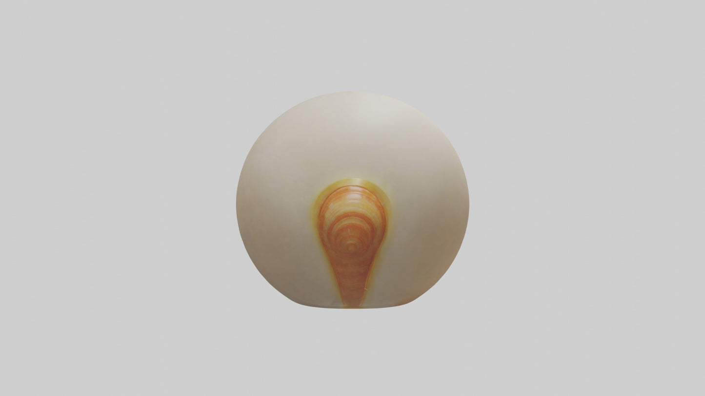 Cartoon Shell model 3D model