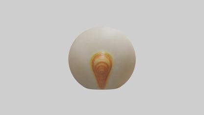 Cartoon Shell model 3D model