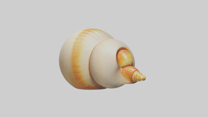 Cartoon Shell model 3D model