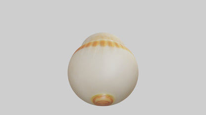 Cartoon Shell model 3D model