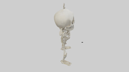 Cartoon Skeleton model 3D model