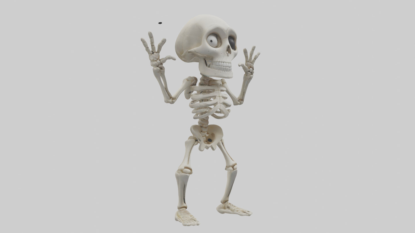 Cartoon Skeleton model 3D model