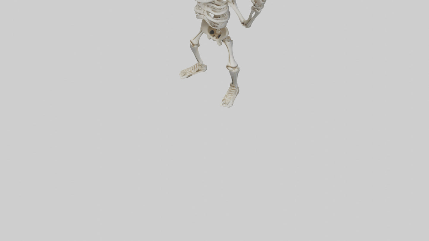 Cartoon Skeleton model 3D model