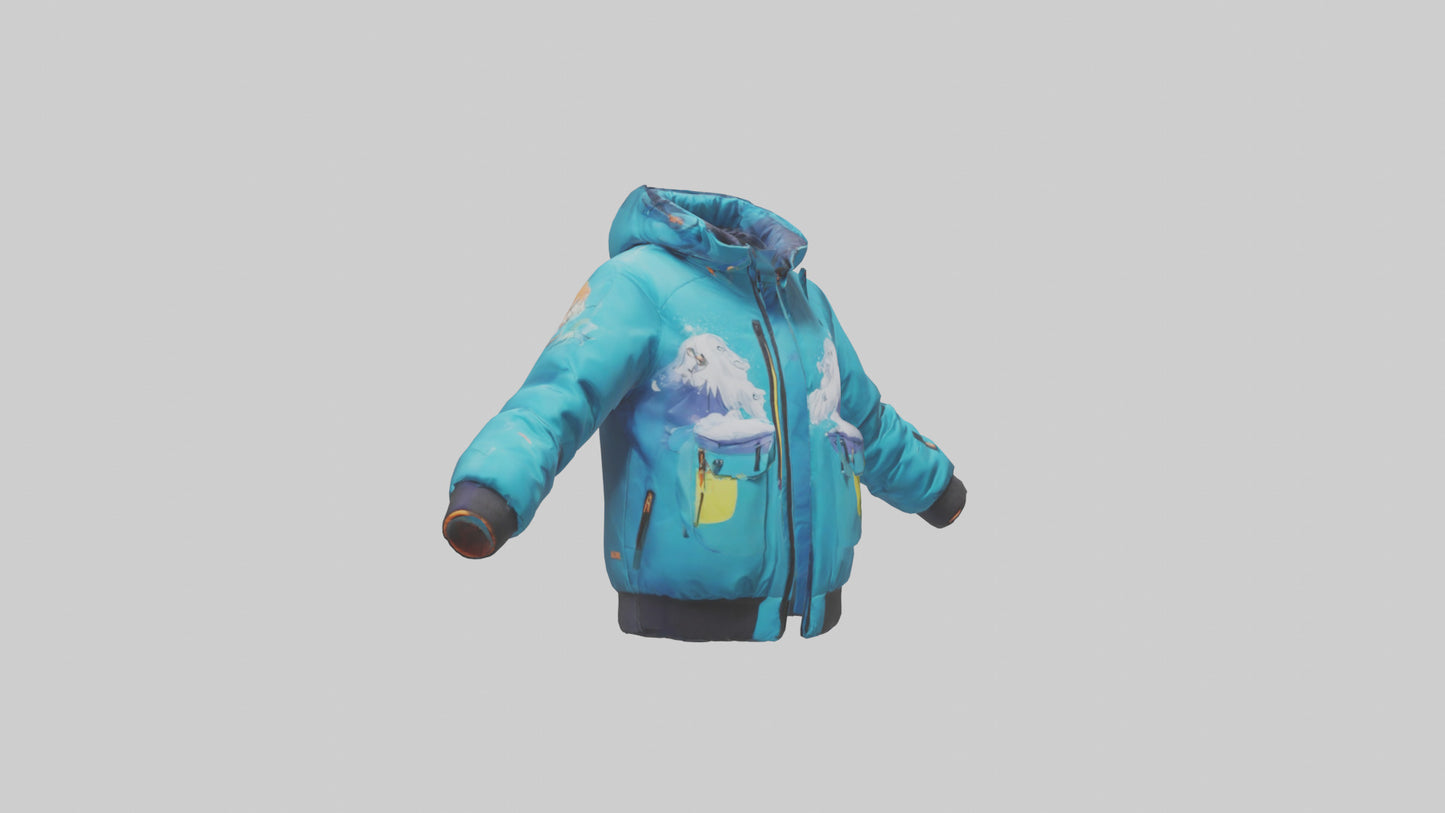 Cartoon Ski Jacket model 3D model