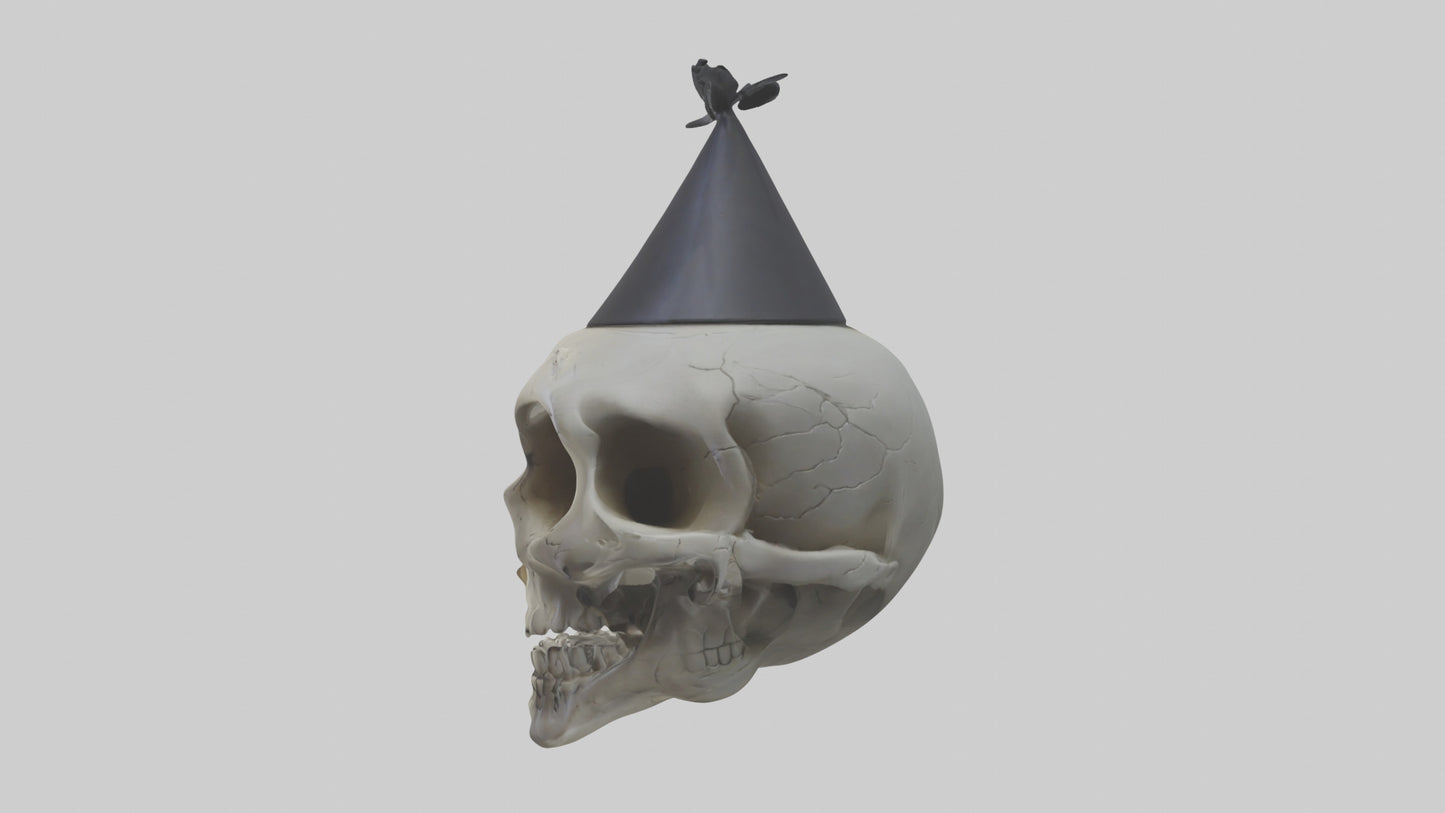 Cartoon Skull model 3D model