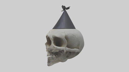 Cartoon Skull model 3D model