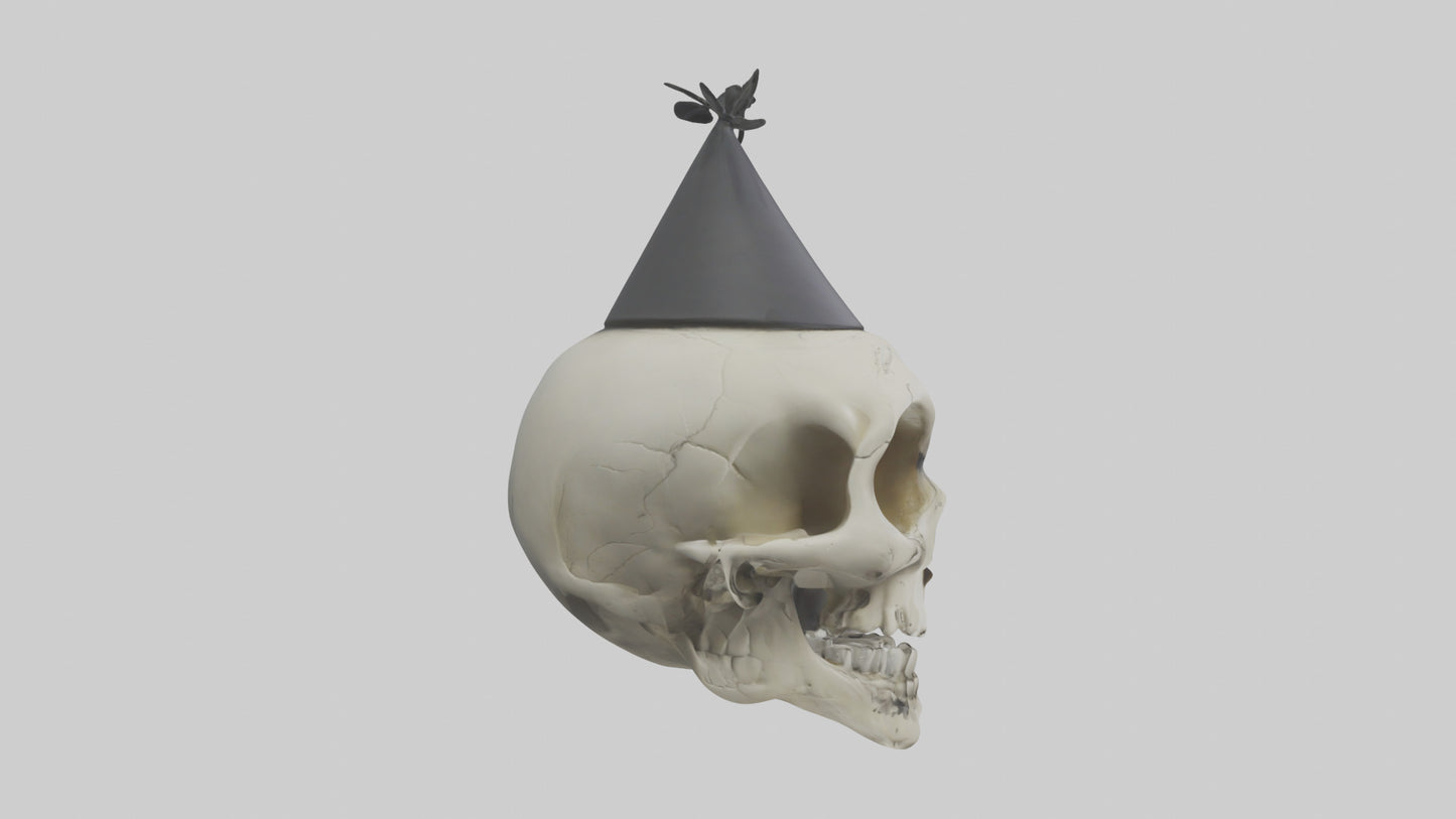 Cartoon Skull model 3D model