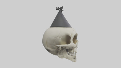 Cartoon Skull model 3D model