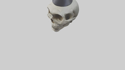 Cartoon Skull model 3D model