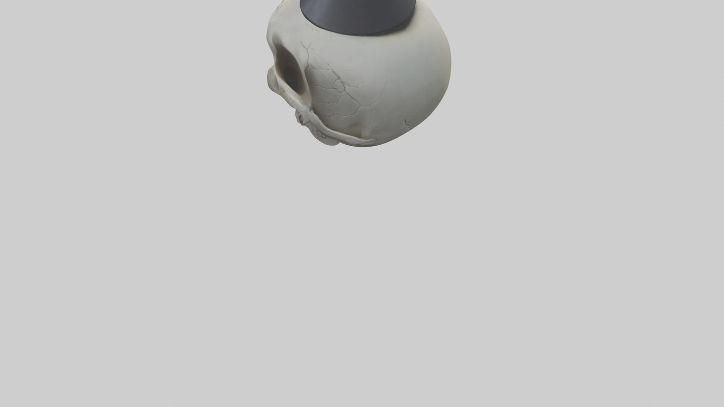 Cartoon Skull model 3D model