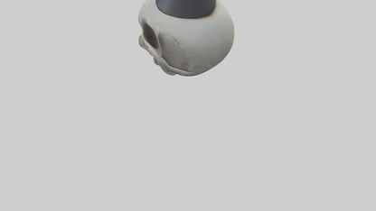 Cartoon Skull model 3D model
