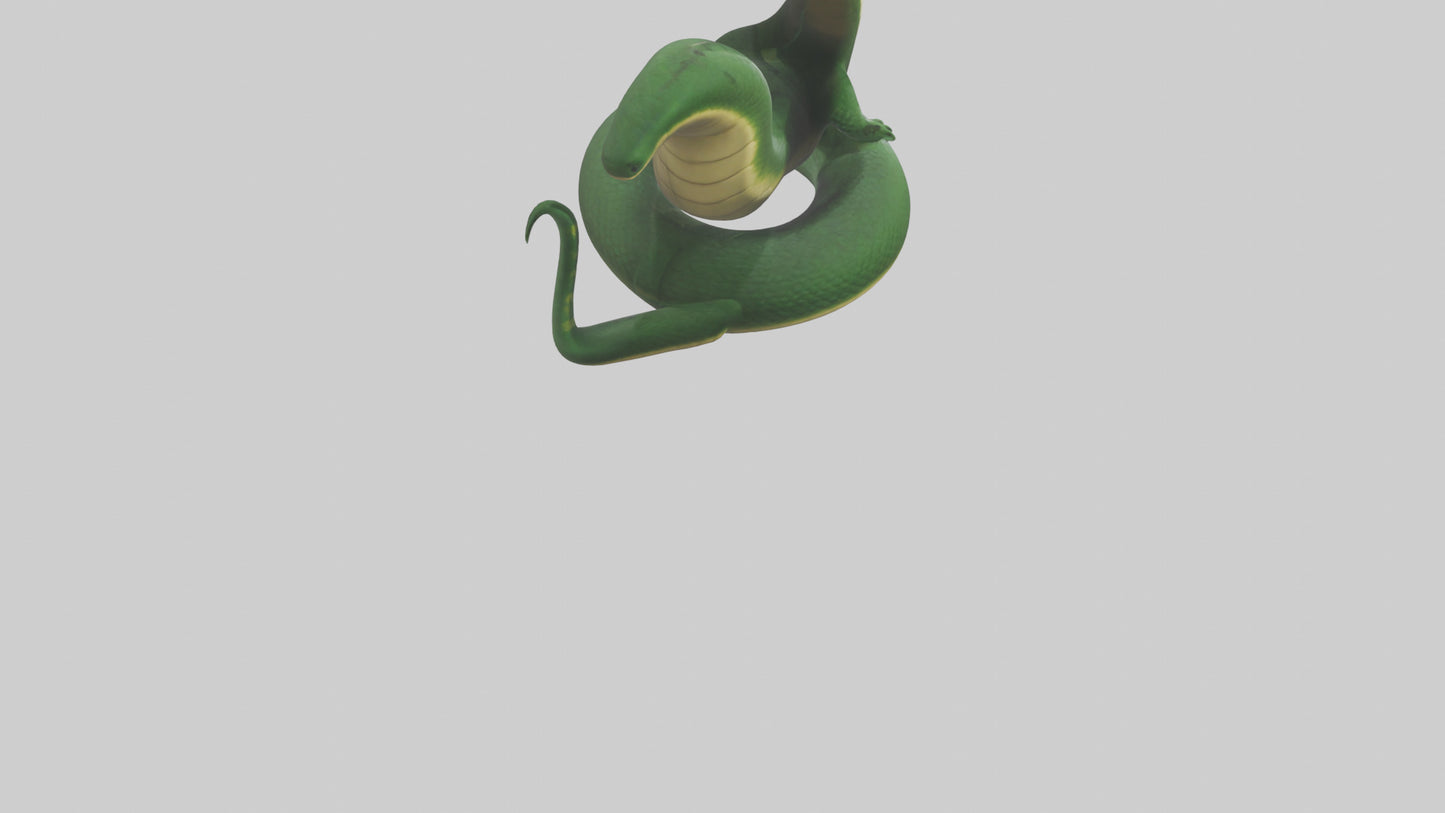 Cartoon Snake model 3D model