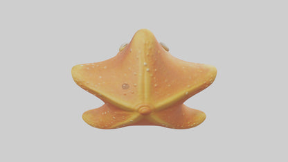 Cartoon Starfish model 3D model