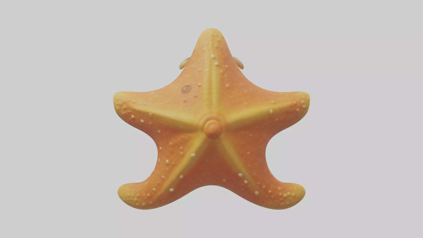 Cartoon Starfish model 3D model