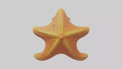 Cartoon Starfish model 3D model