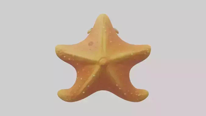 Cartoon Starfish model 3D model