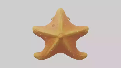Cartoon Starfish model 3D model