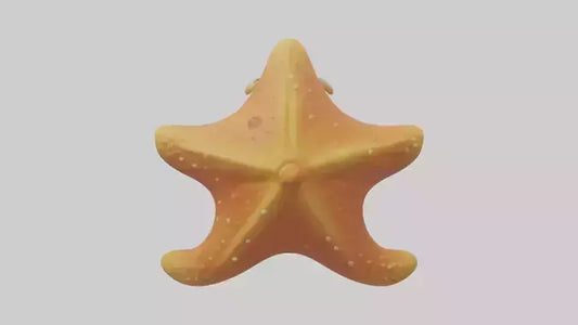 Cartoon Starfish model 3D model