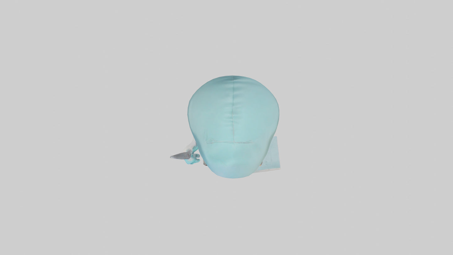 Cartoon Surgeon model 3D model