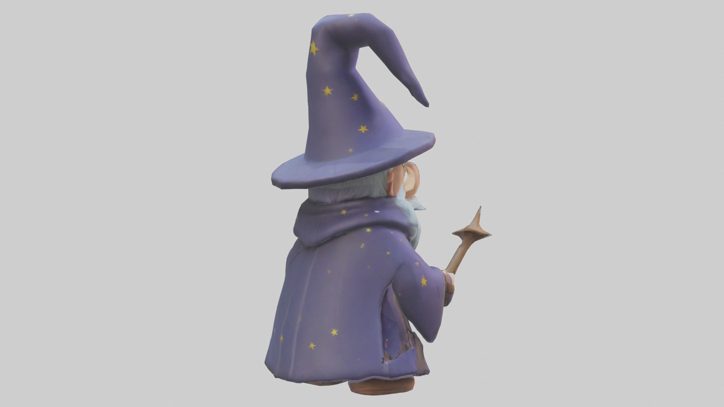 Cartoon Wizard model 3D model