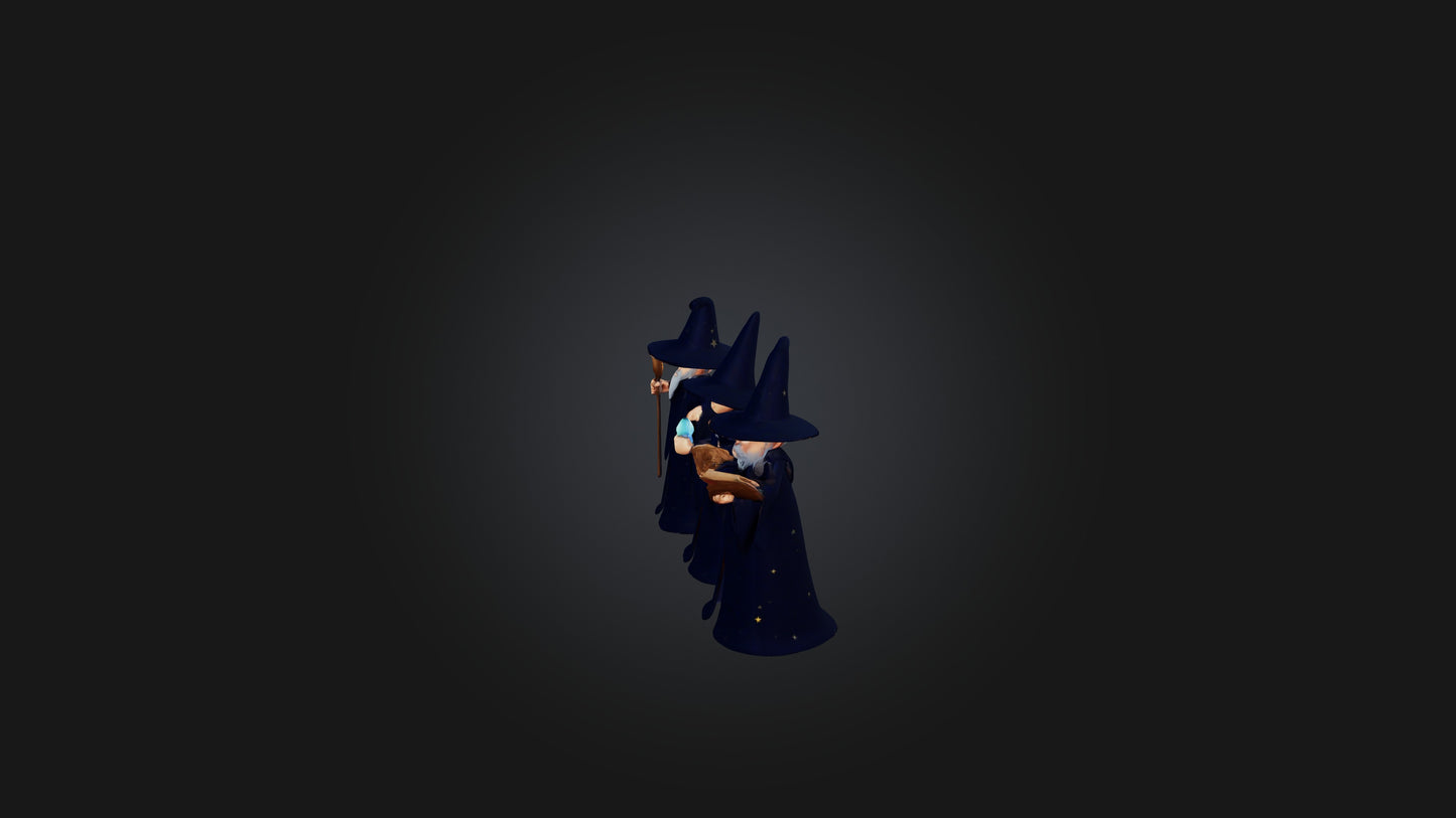 Cartoon Wizards 3D model