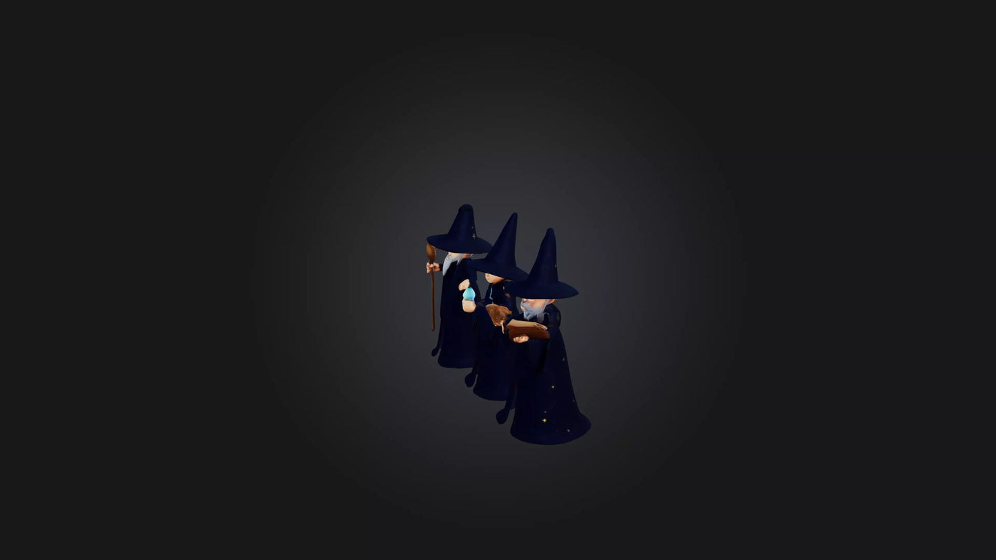 Cartoon Wizards 3D model