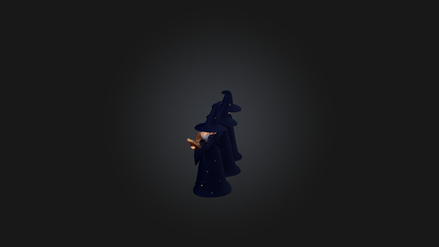 Cartoon Wizards 3D model