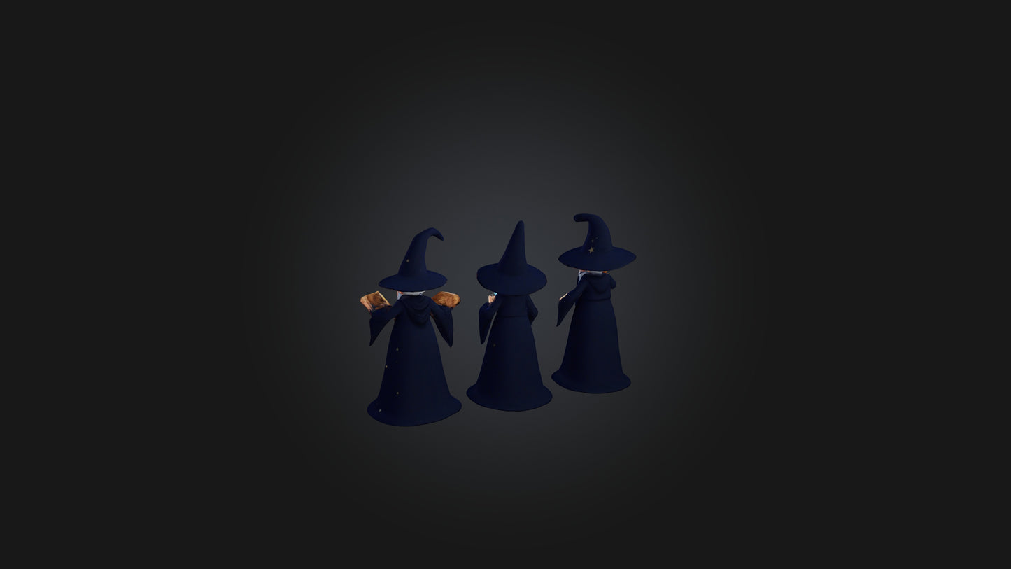 Cartoon Wizards 3D model
