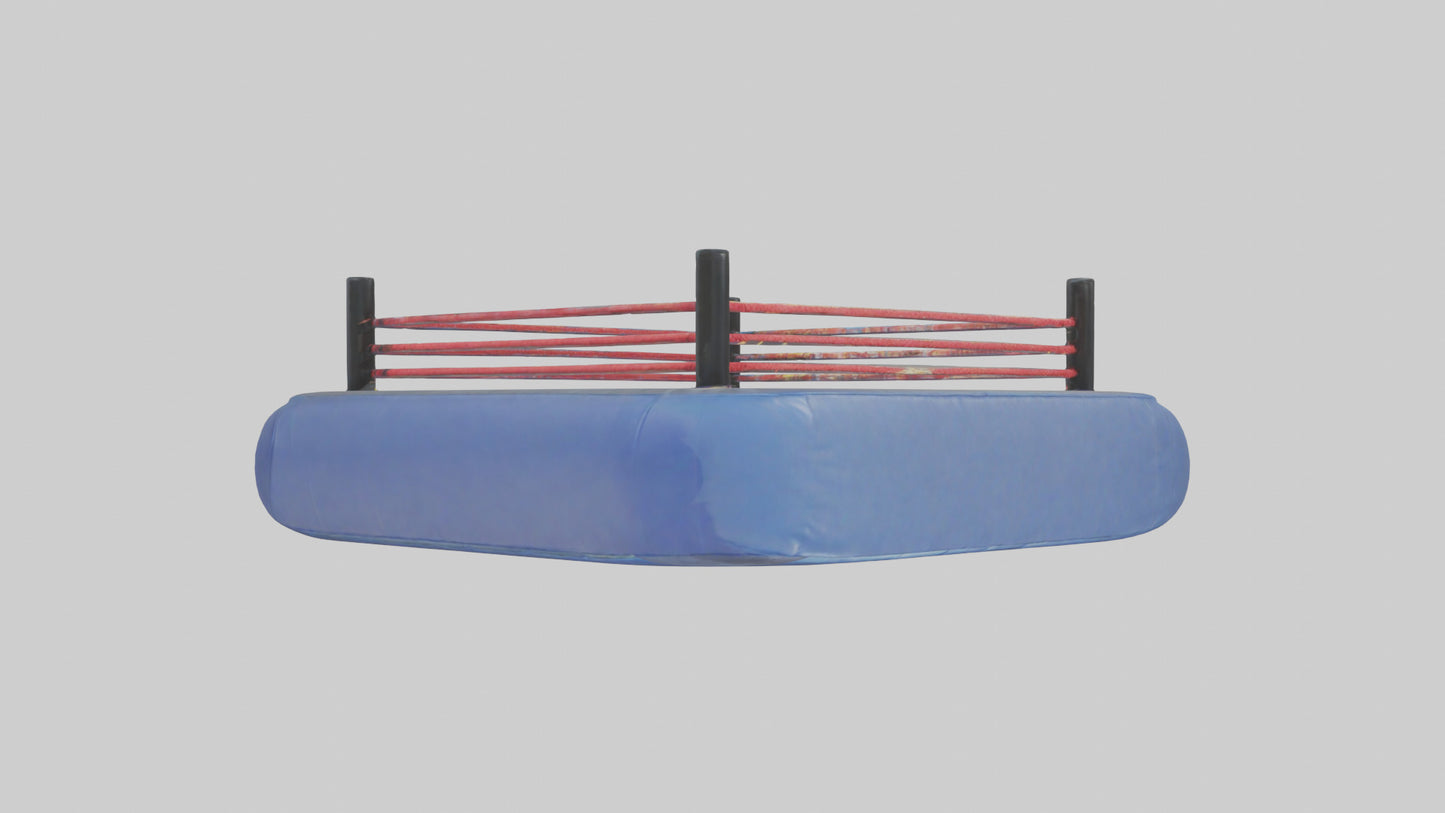 Cartoon Wrestling Mat model 3D model