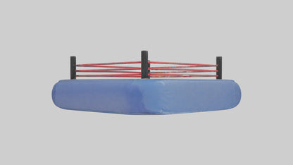 Cartoon Wrestling Mat model 3D model