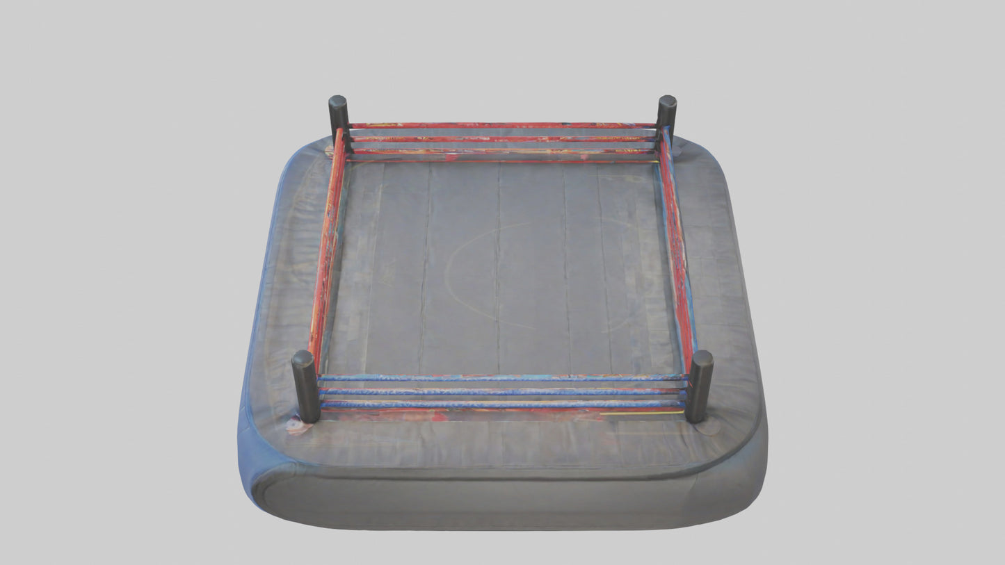 Cartoon Wrestling Mat model 3D model