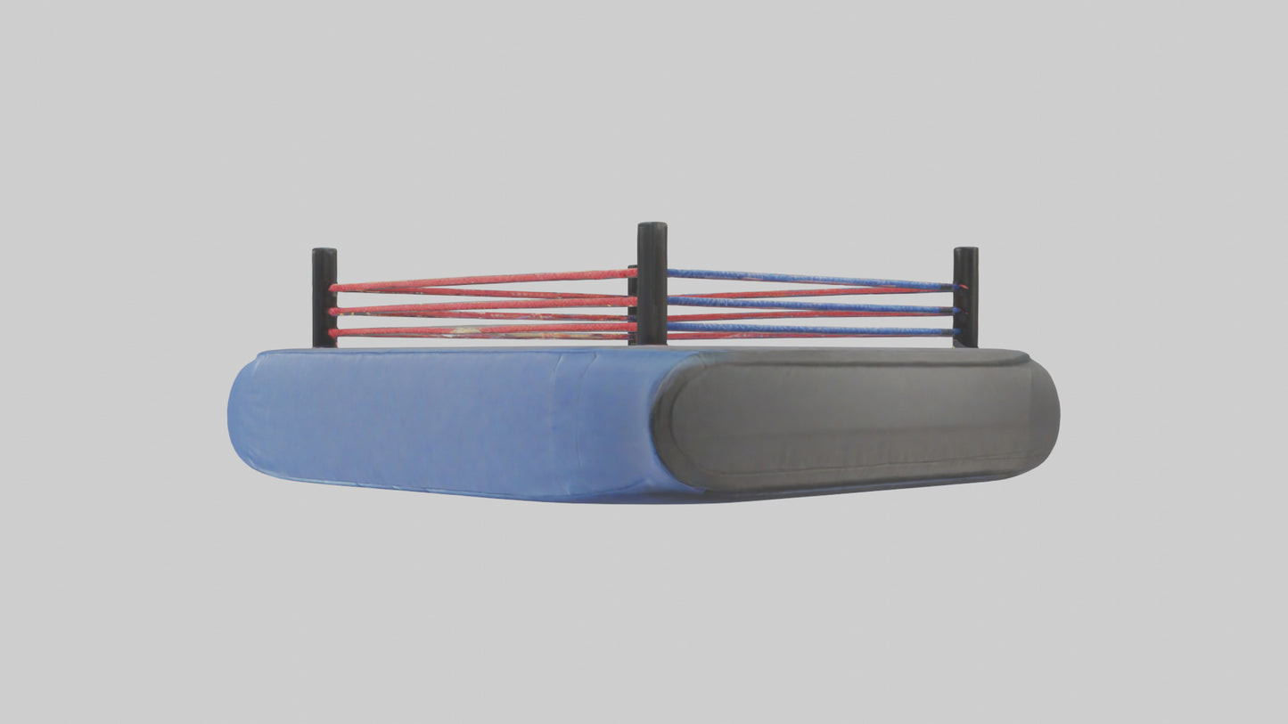 Cartoon Wrestling Mat model 3D model