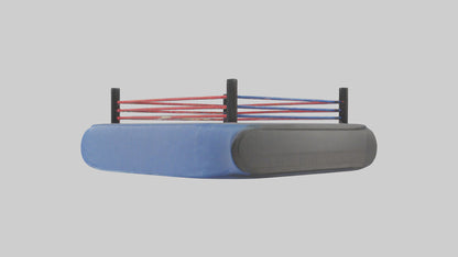 Cartoon Wrestling Mat model 3D model