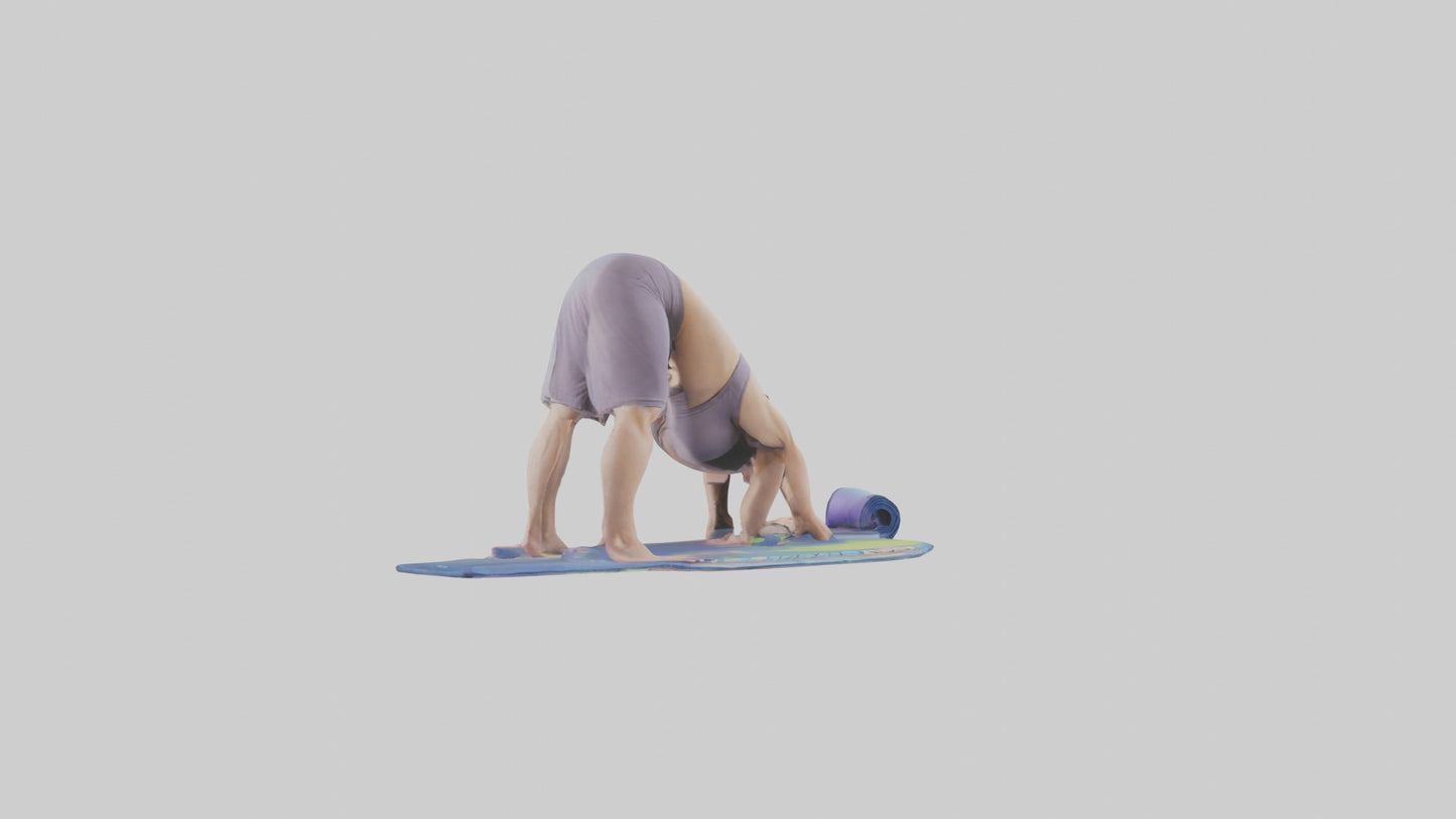 Cartoon Yoga Mat model 3D model