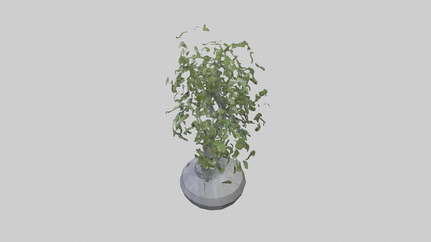 Cascade Plant Sculpture model VR / AR / low-poly