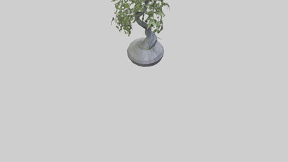 Cascade Plant Sculpture model VR / AR / low-poly