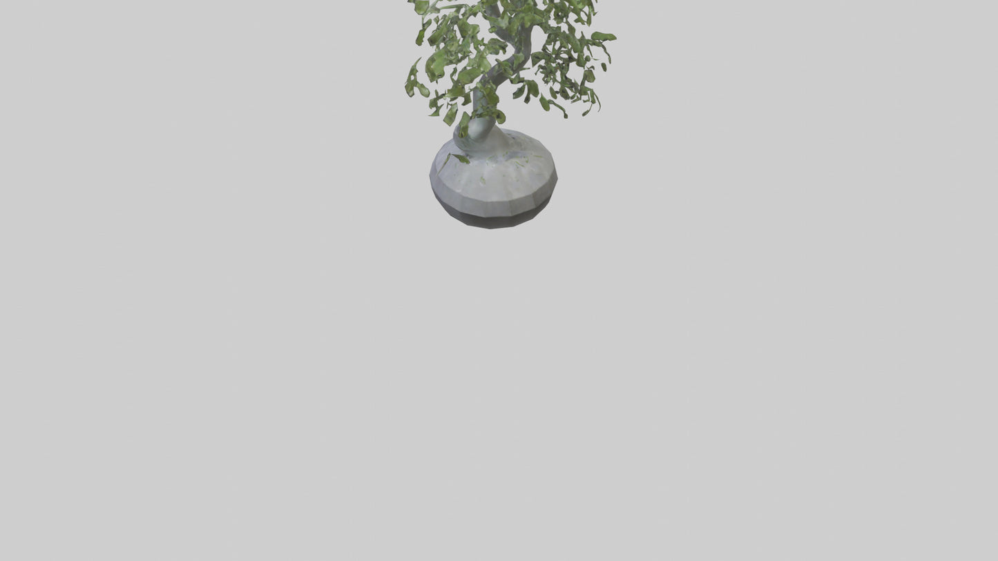 Cascade Plant Sculpture model VR / AR / low-poly