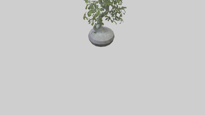 Cascade Plant Sculpture model VR / AR / low-poly