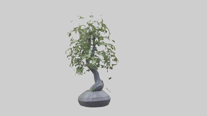 Cascade Plant Sculpture model VR / AR / low-poly