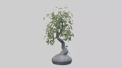 Cascade Plant Sculpture model VR / AR / low-poly